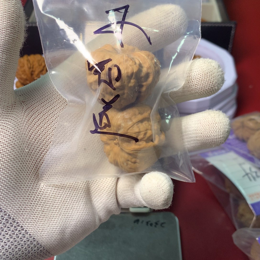 核桃其他咱***道咱也不知道的蛤蟆