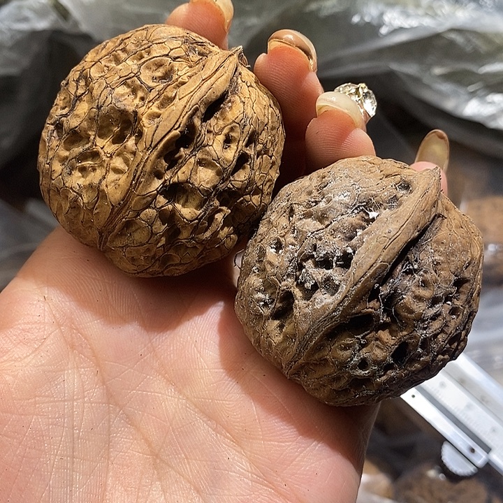 核桃云南野生铁核桃32号43mm