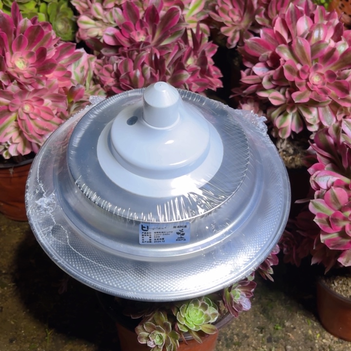 余***就瑞妈多肉园艺。灯