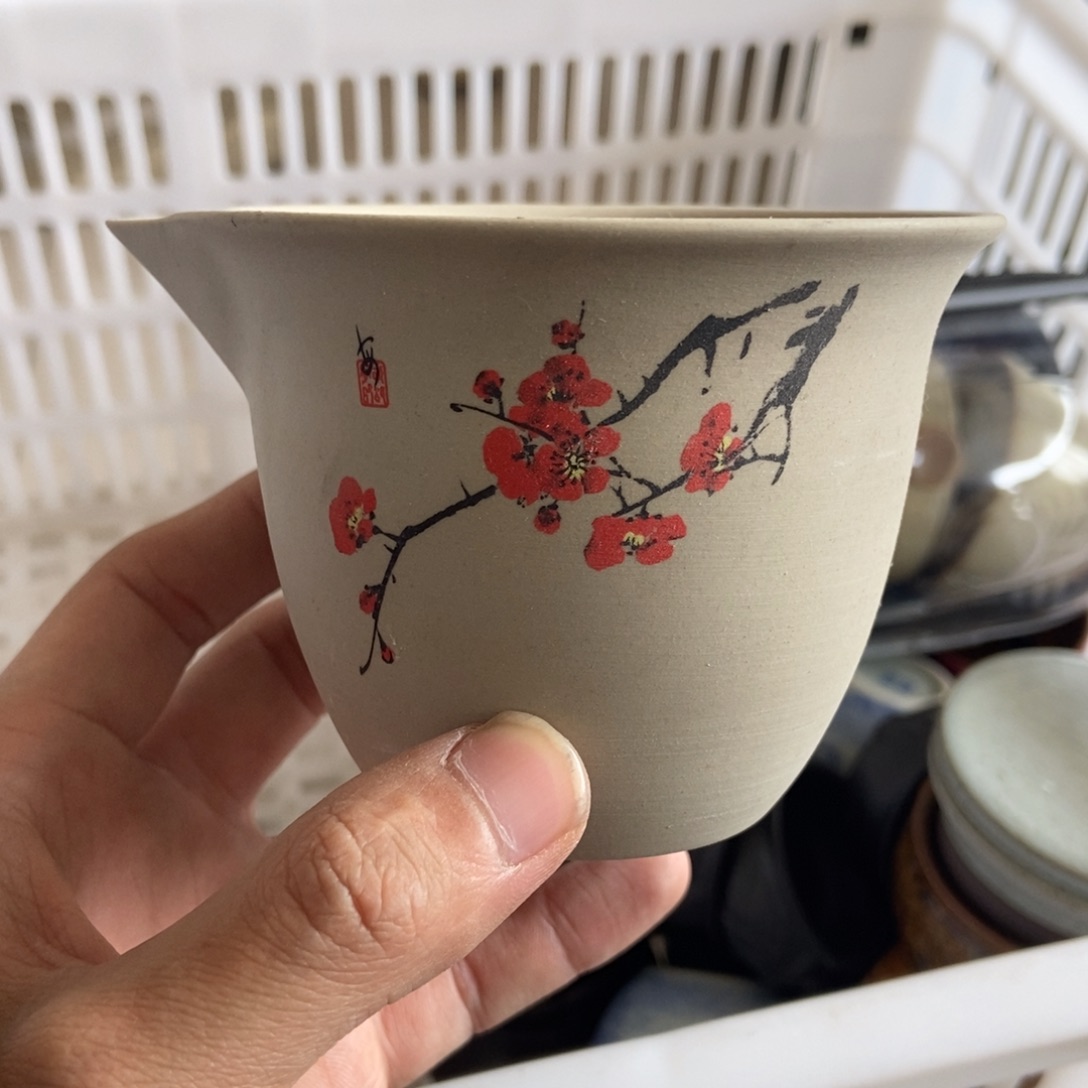 杯直播链接直播链接