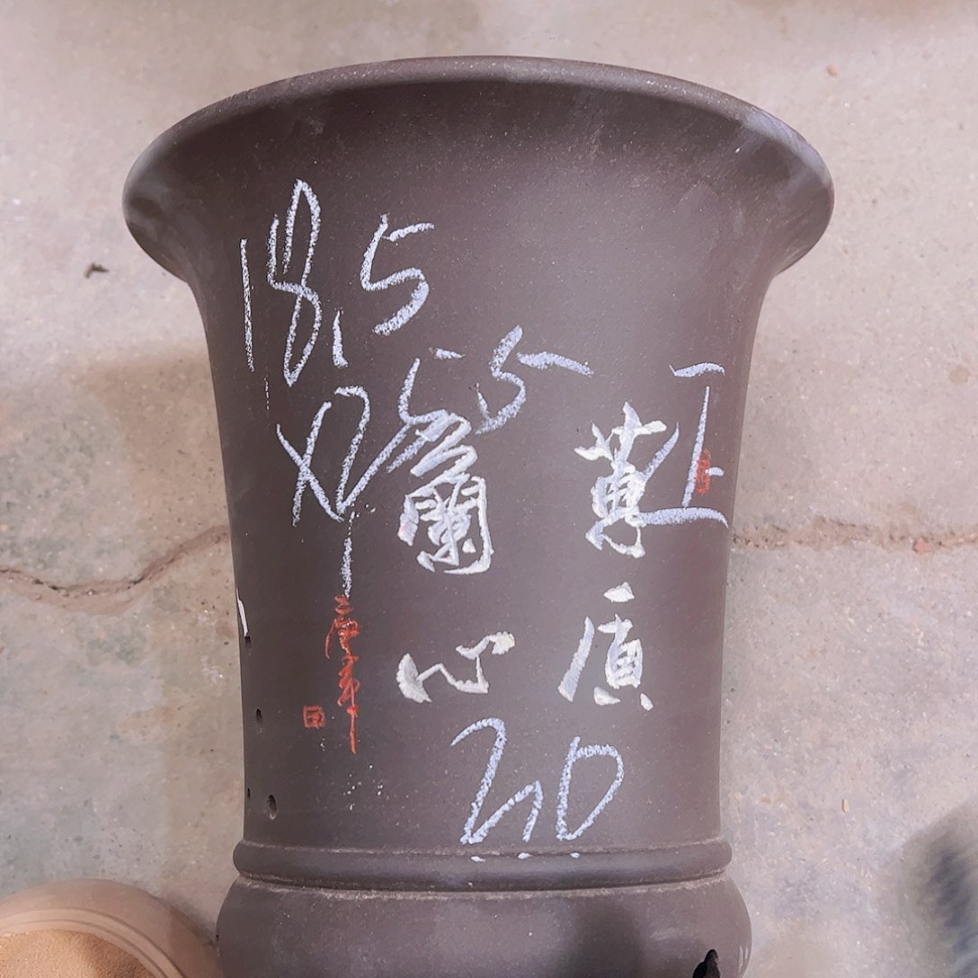 紫砂30。。。。。。。………………………………