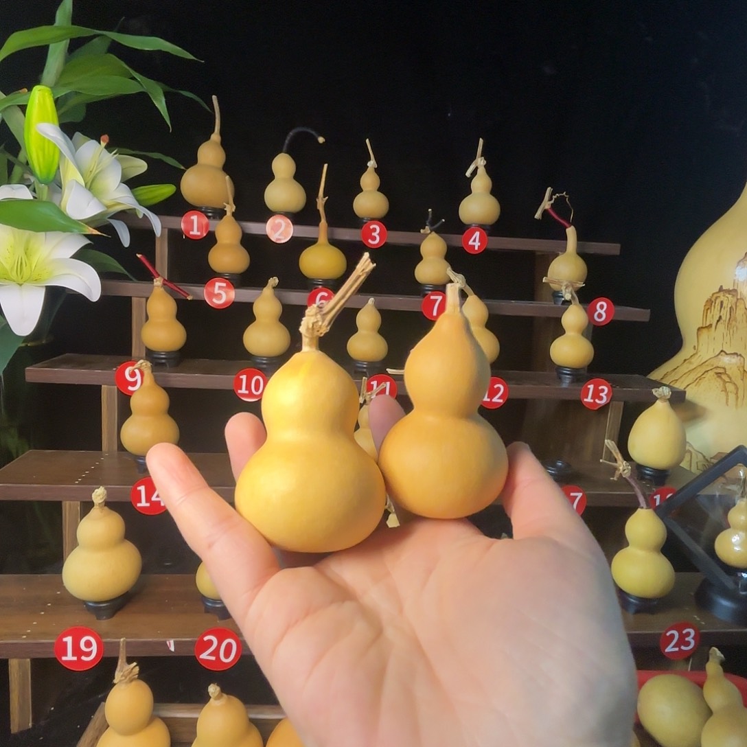 张***胖1111111111111111111111