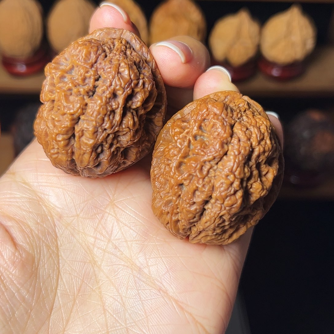 修***中         金刚佛手 44