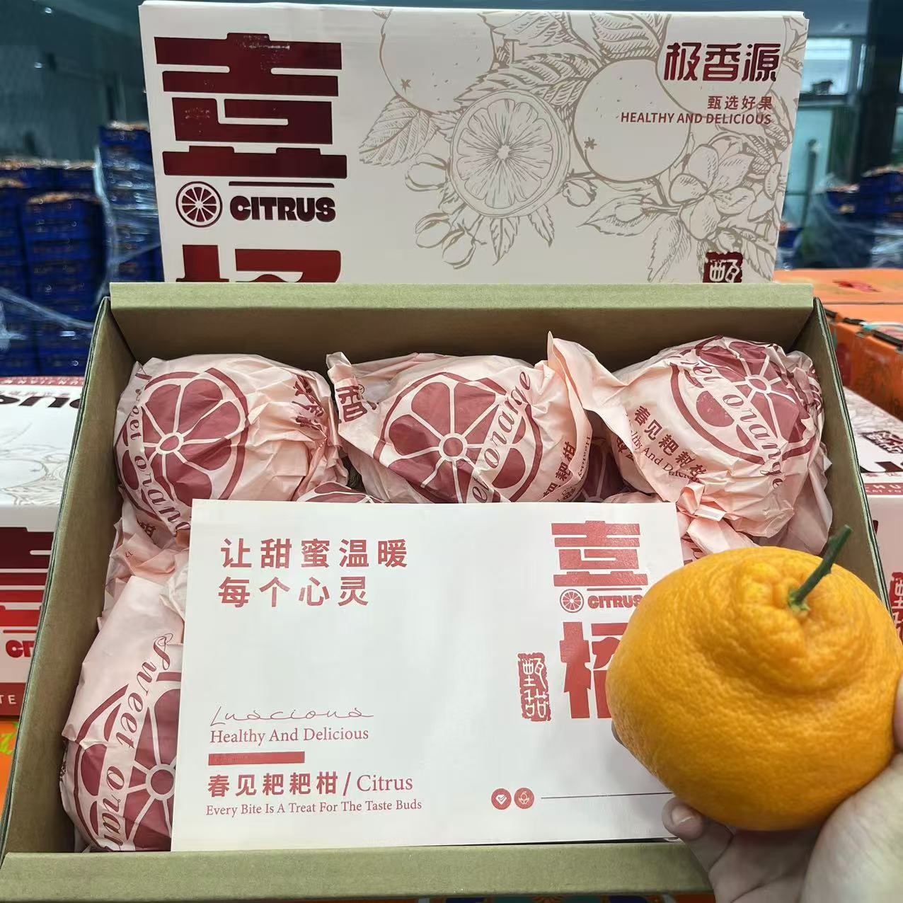 【原箱】【N】【喜橘春见耙耙柑】（带箱9斤）仅限太原六城区榆次可拍
