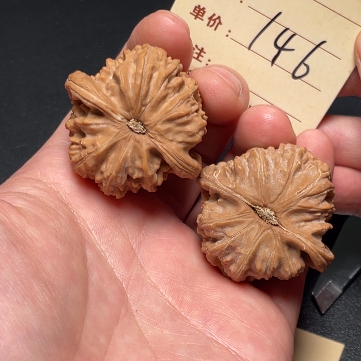 把件文玩核桃白狮子42尺全品打底发146