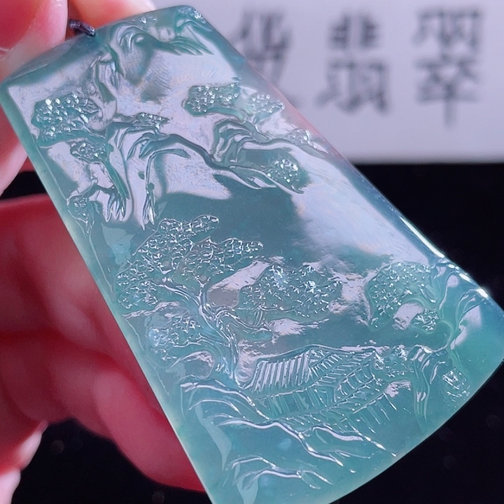 翡翠颈饰未镶嵌999999999