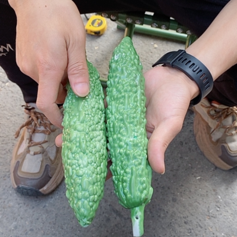 【闪购商品】瓷片小*椒景德镇现代工艺品