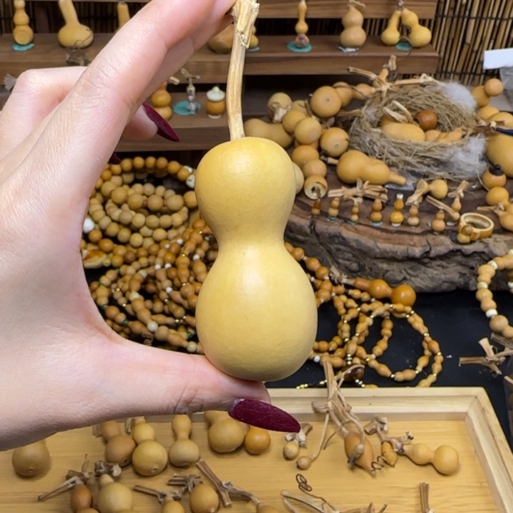 金***韵这谢谢谢谢谢谢谢谢