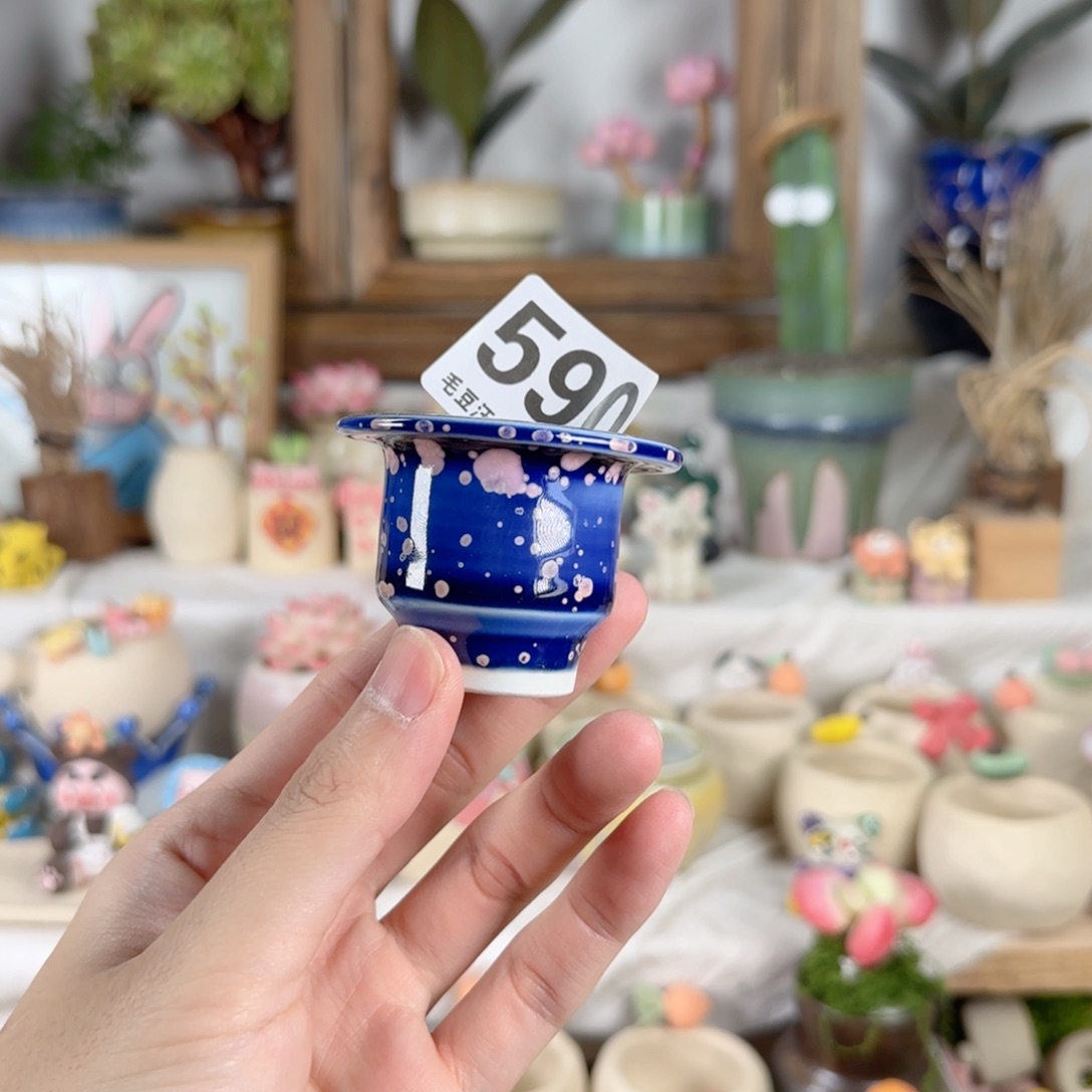 590 口4 福利特惠非偏远两单包邮