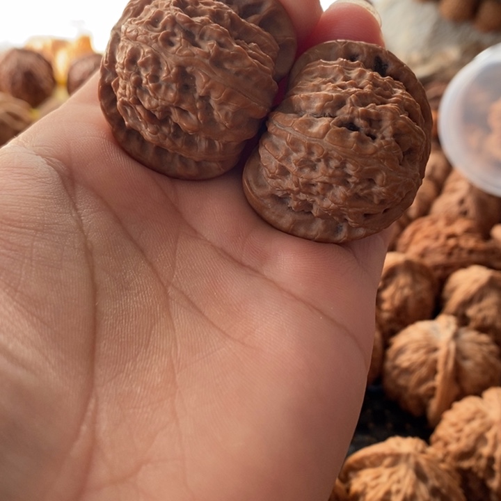 吊坠文玩核桃老树白狮子文玩核桃