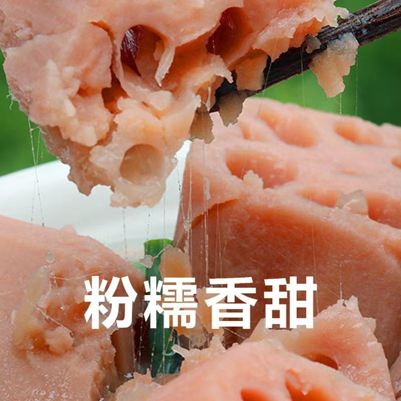 【次日达】重庆本地老品种新鲜粉藕面藕3斤5斤包邮粉藕