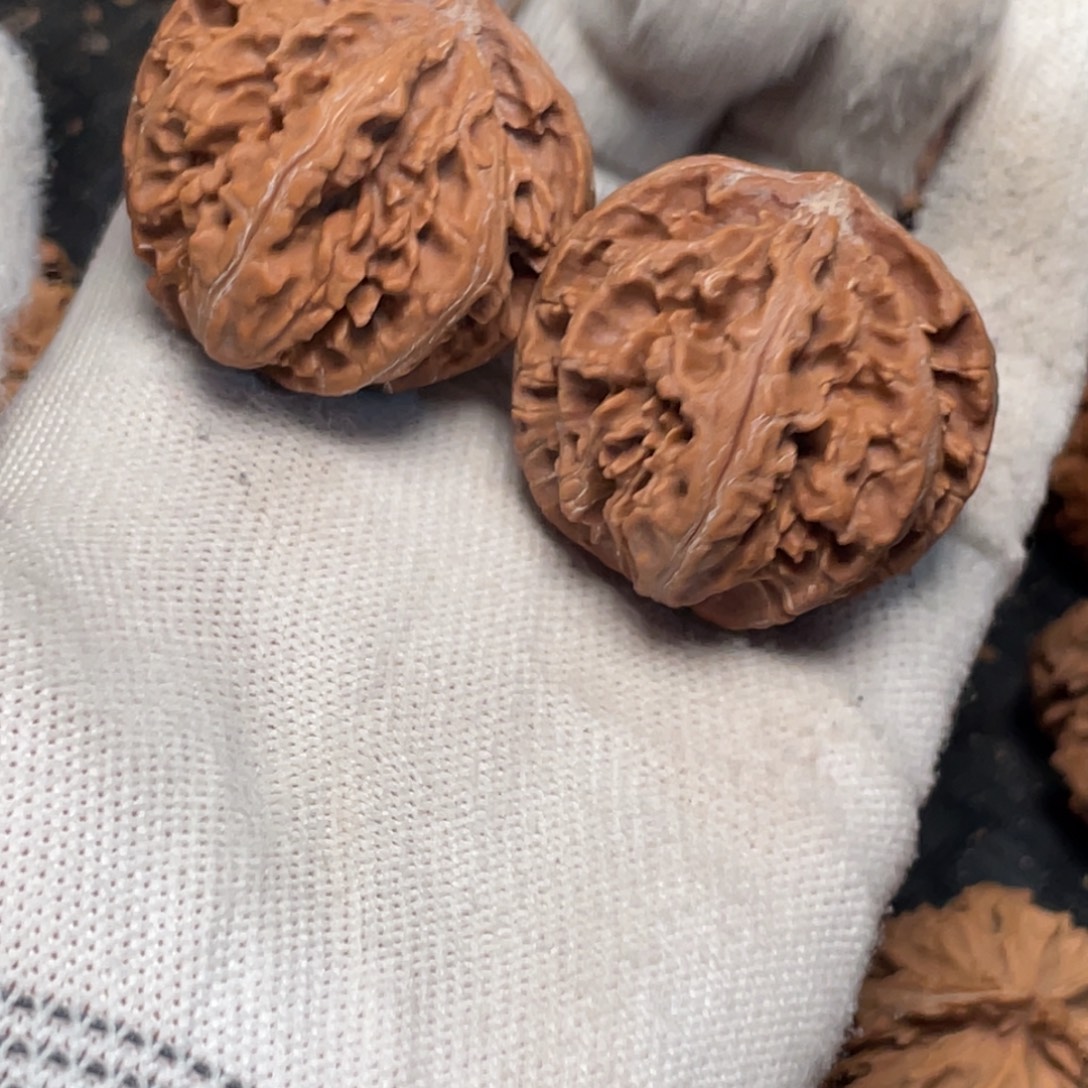 过***客把件桃核55 秦岭灯笼野生小众