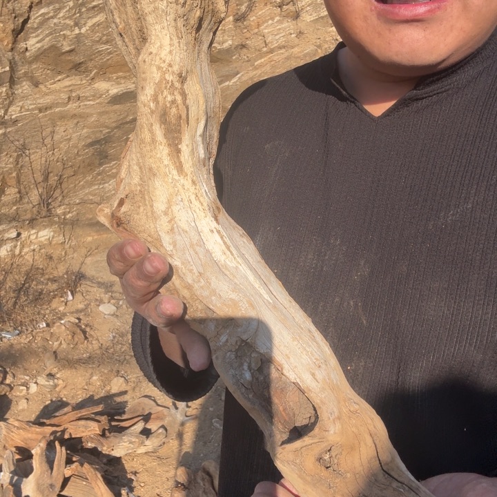 鸿***飞有机玻璃太行崖柏