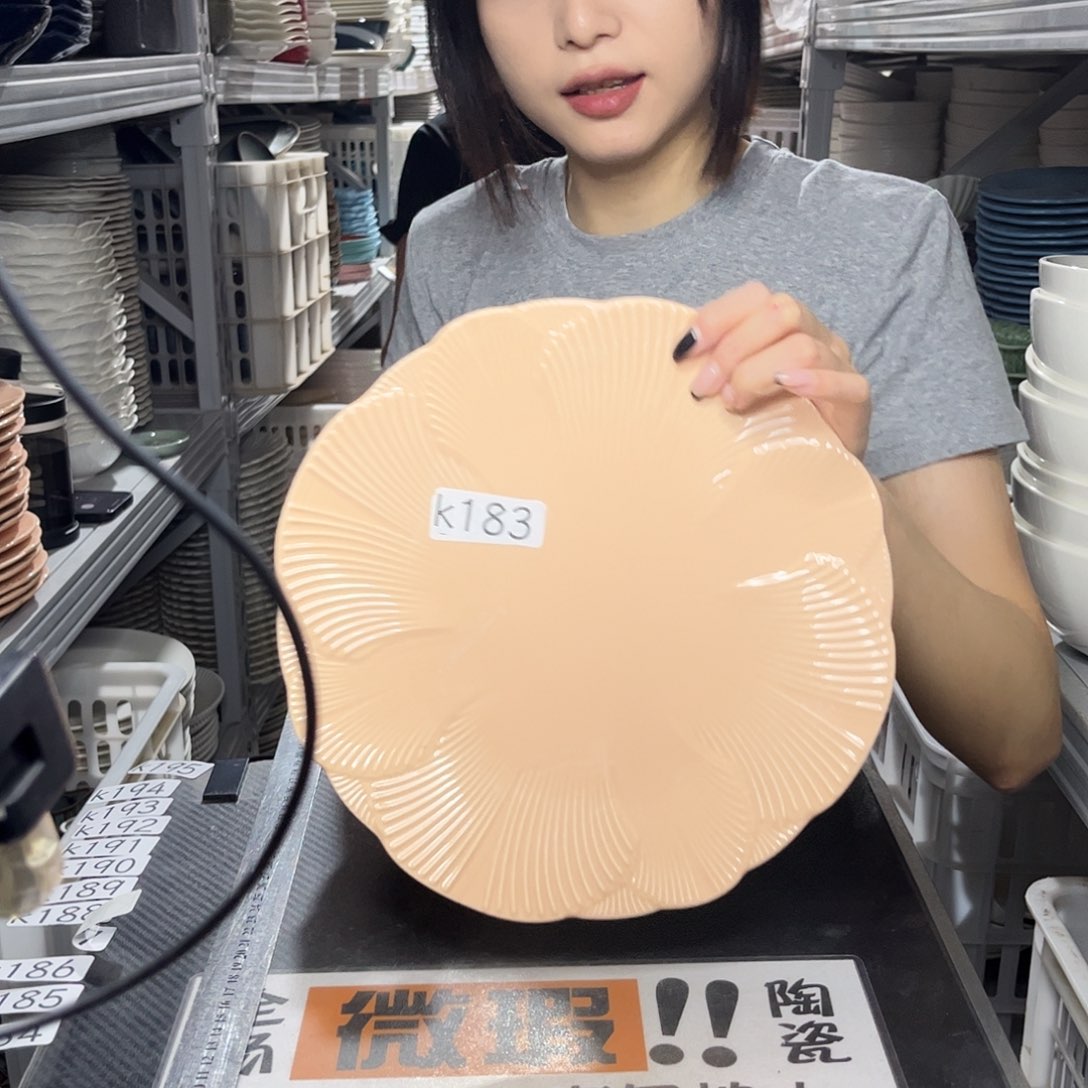 瓷片183                2个