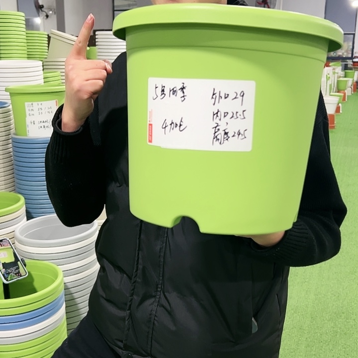 特价5号口29高24.5果绿色5只无托