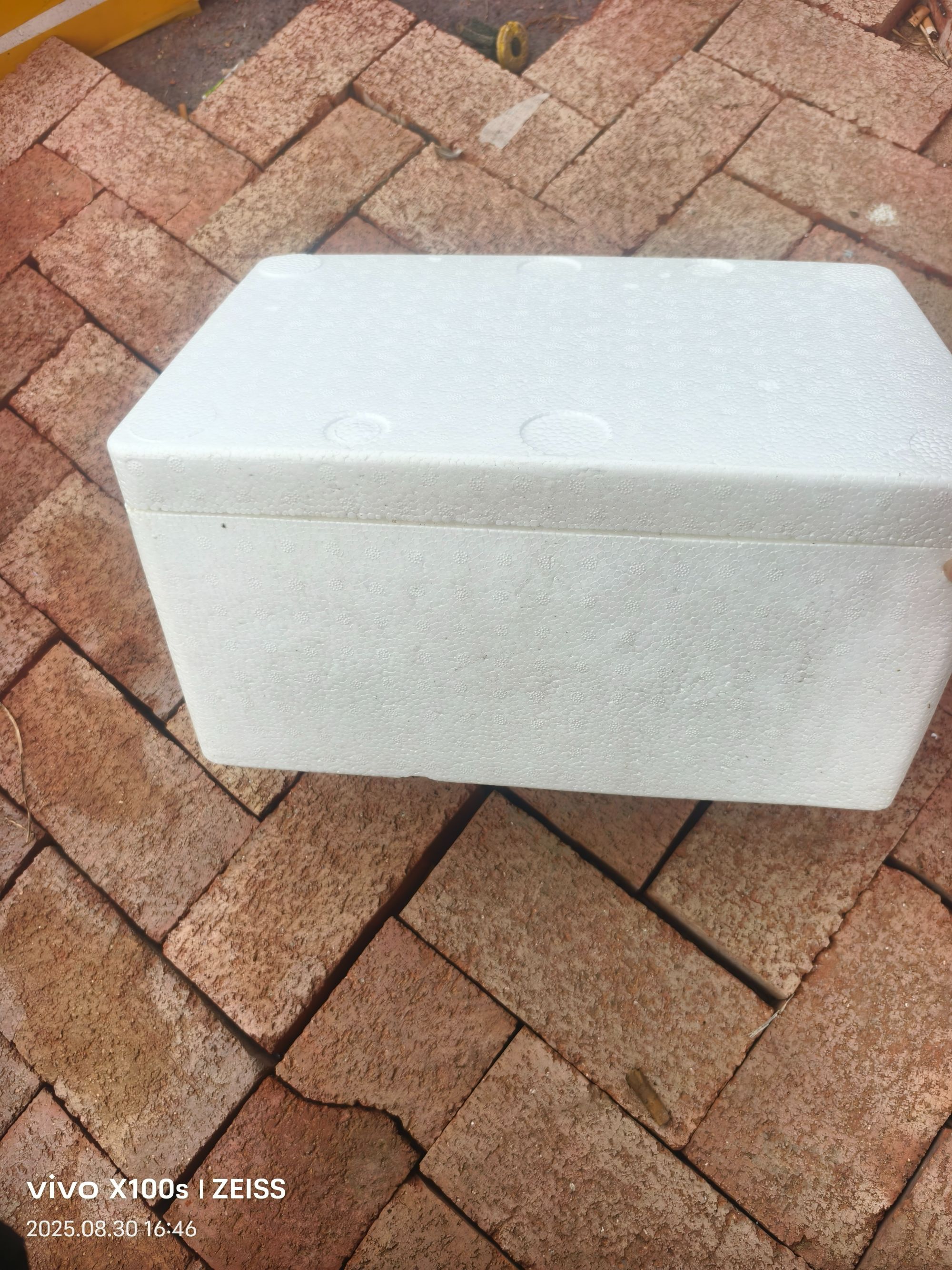 泡沫箱观赏鱼包装