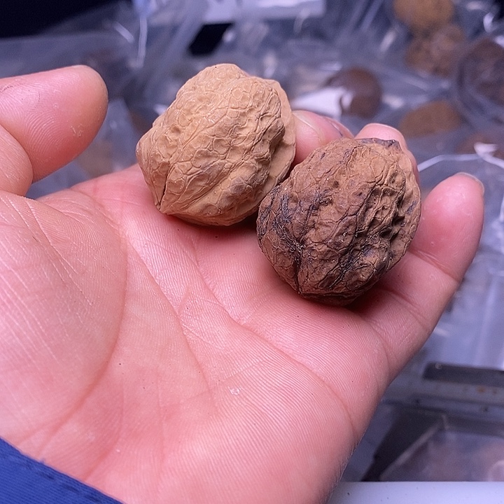 文玩核桃吊坠   76