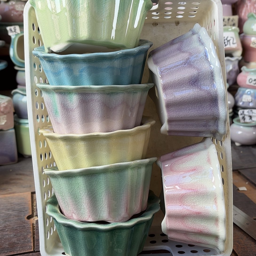 量货/10口6高深浅搭配发4