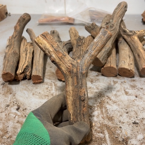 大果紫檀（缅甸花梨）曾***诺