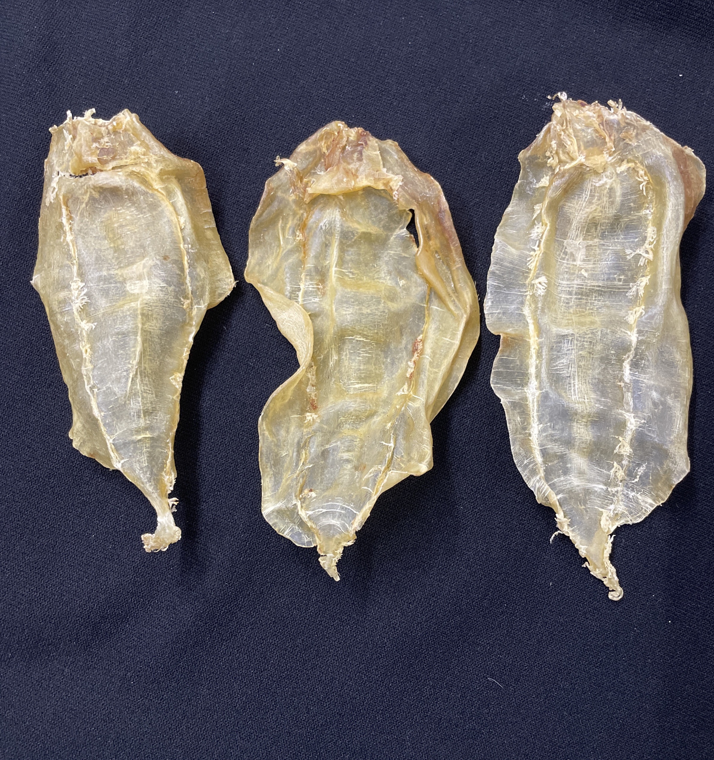 广东鱼胶 花胶改价 干货