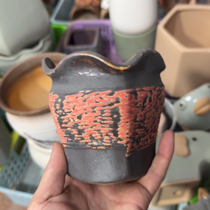 《所有单满15发（花盆）》10+10