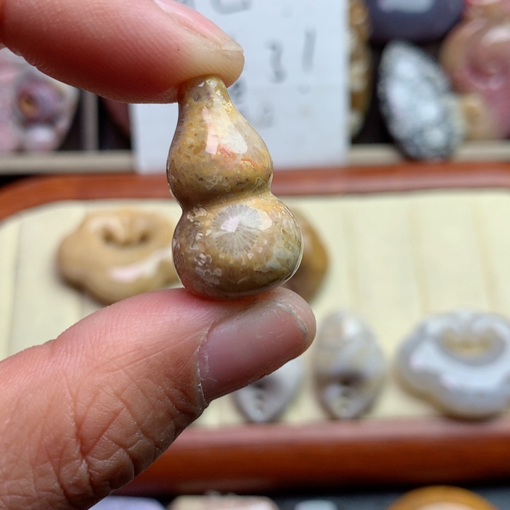 硅化珊瑚（珊瑚玉）颈饰未镶嵌