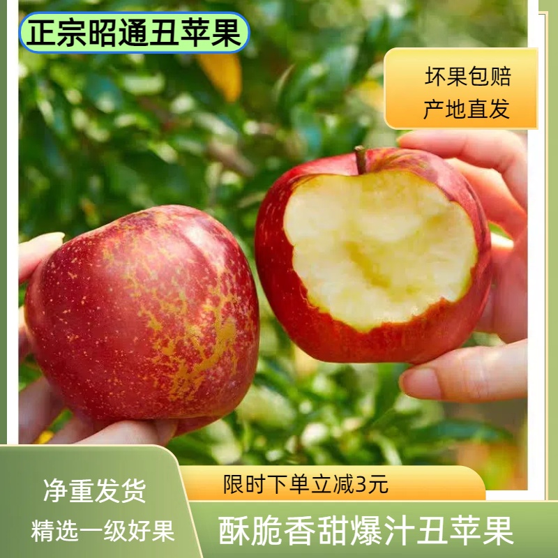 正宗昭通冰糖心丑苹果嫩脆多汁红富士当季新鲜水果批发整箱包邮