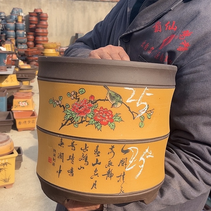 紫砂紫砂花盆盆栽