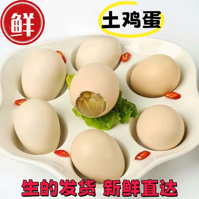 山东新鲜生活珠子13天胚蛋土鸡蛋