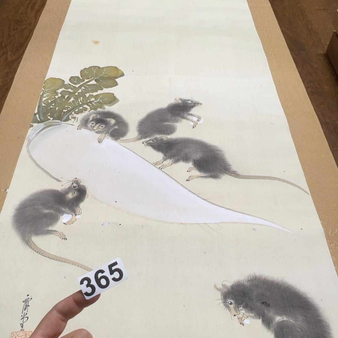 南**雪哈哈哈我的天365