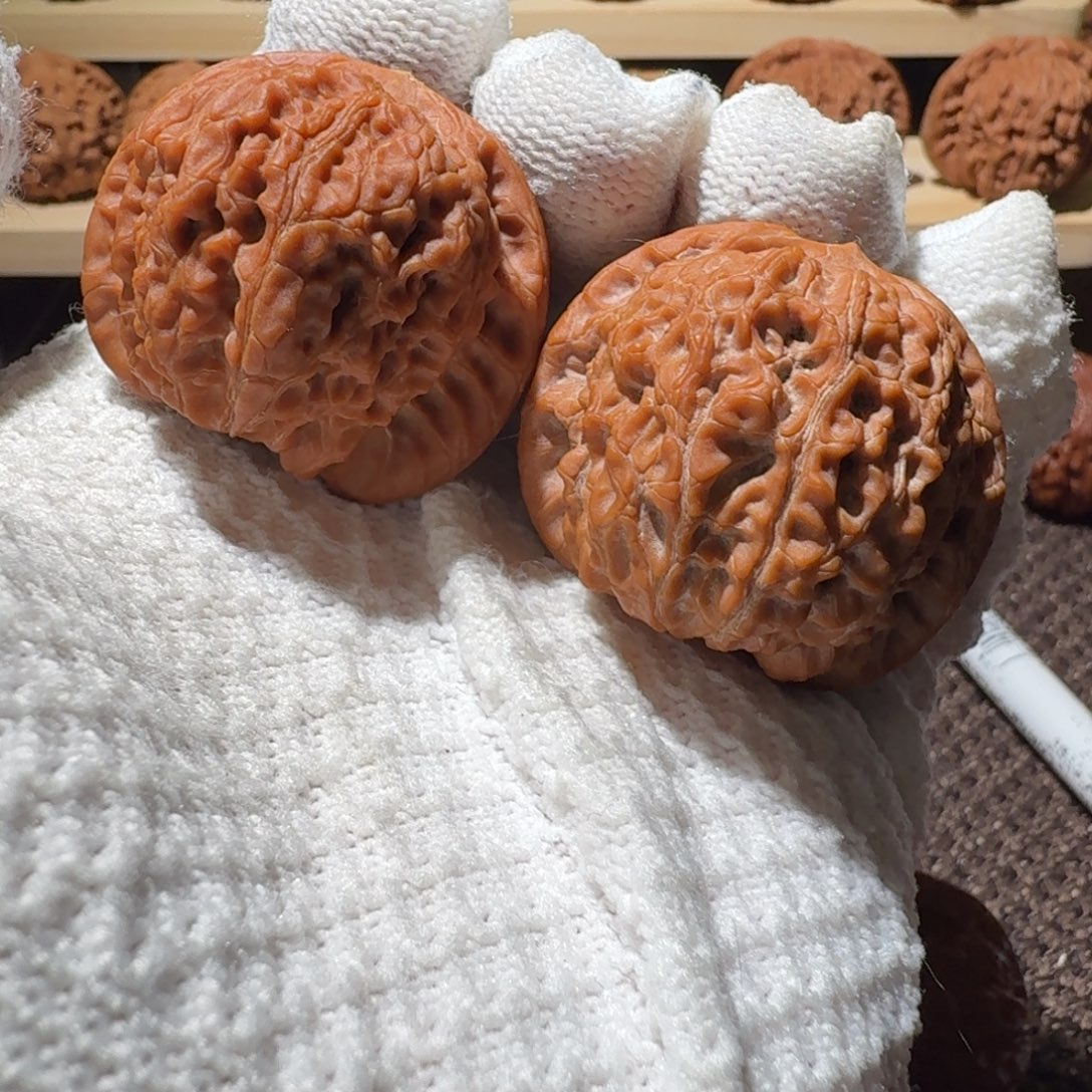 志***伟吊坠文玩核桃38全品血麒麟