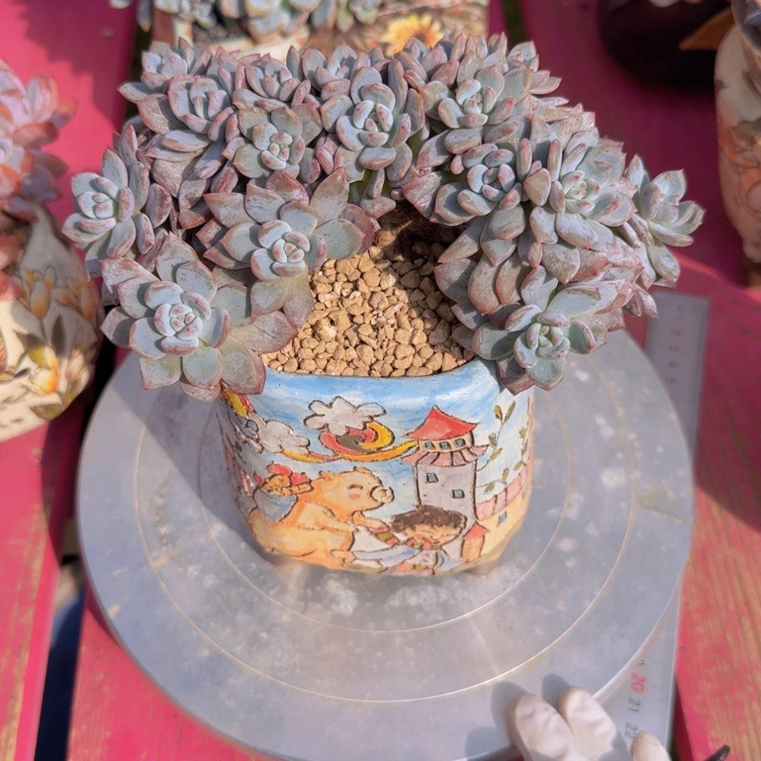 哒***文文文姐寄养111111111