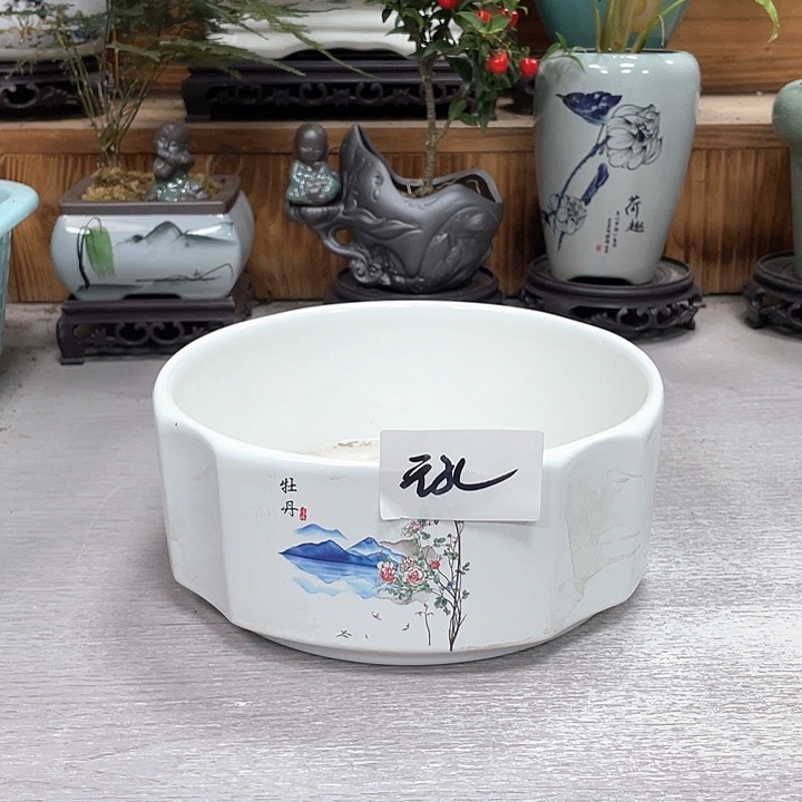 陶瓷花盆抢购福利