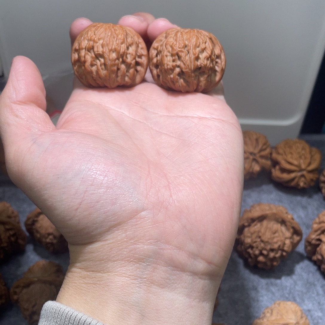 核桃39尺磨盘核桃