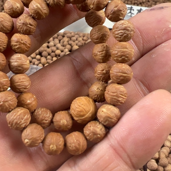 素***年吊坠凤眼菩提文玩酸枣核