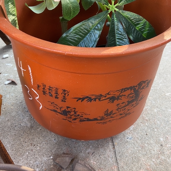 41平海花盆花盆花盆