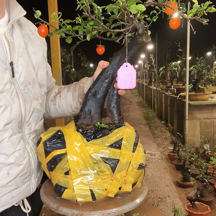 祥***子无花朵就会吃的饭好结局