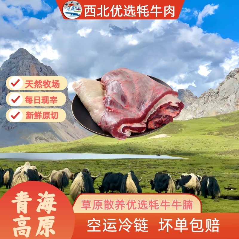 [青海牦牛牛腩4斤]西北优选青藏高原牦牛肉顺丰空运包邮