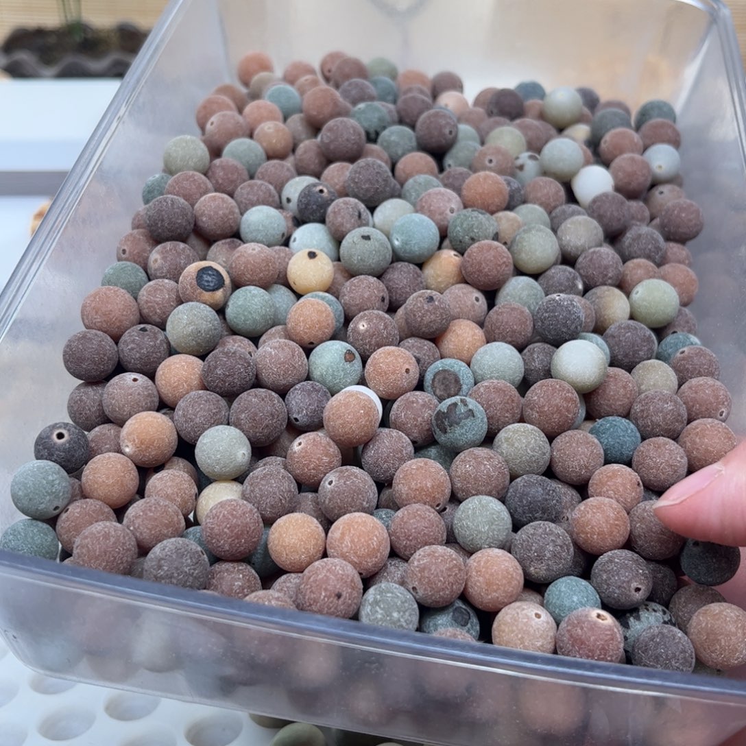 吊坠白玉菩提浓郁原子卡12的50颗福利