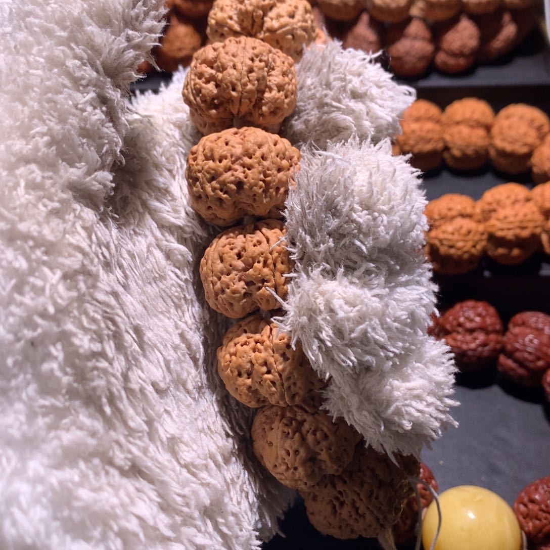 金刚菩提手串！26尺问鼎梅花定制