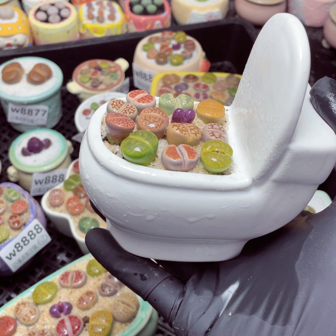 w8892--零下地区拍保温箱，-15度支持寄养