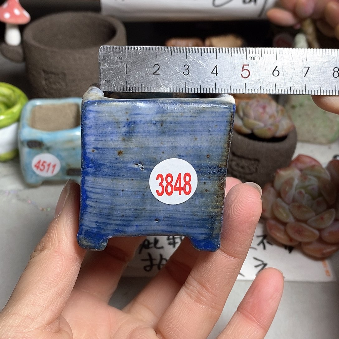 红陶拍5送一个小