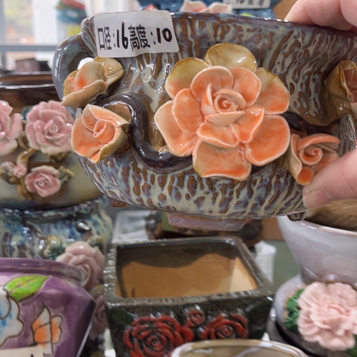 【闪购商品】红陶福利