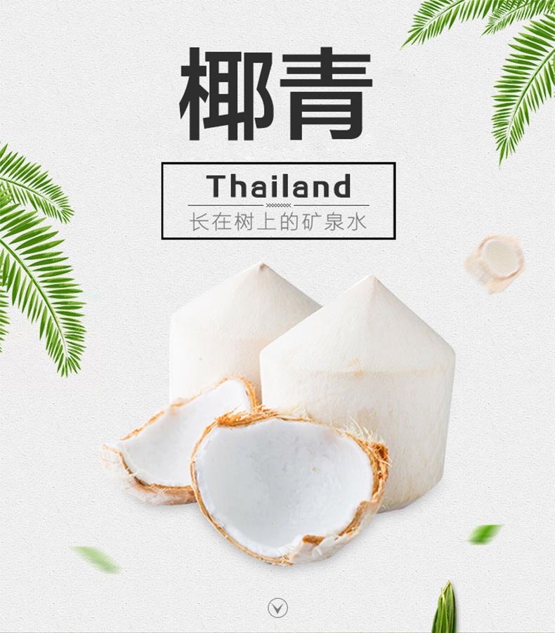 海南精选椰青9个装送开椰器送开椰器和吸管生鲜水果椰子