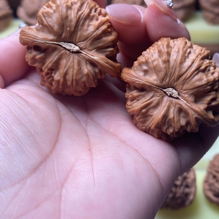 大叶紫檀（黑酸枝木类）白狮子有修40尺