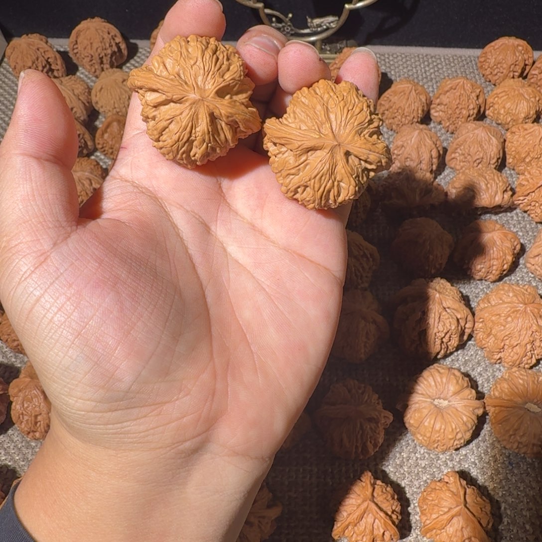 非洲紫檀（红花梨）把件磨盘