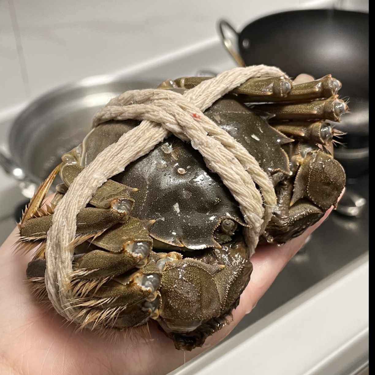 [活蟹现发]鲜活大闸蟹 公4.5两-3.5两母 ，6-8+2只装