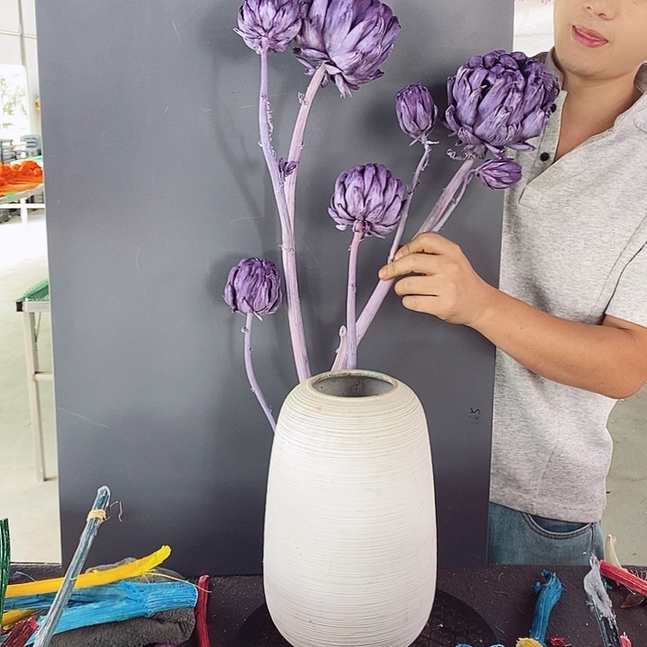 洋蓟永生花紫色多头