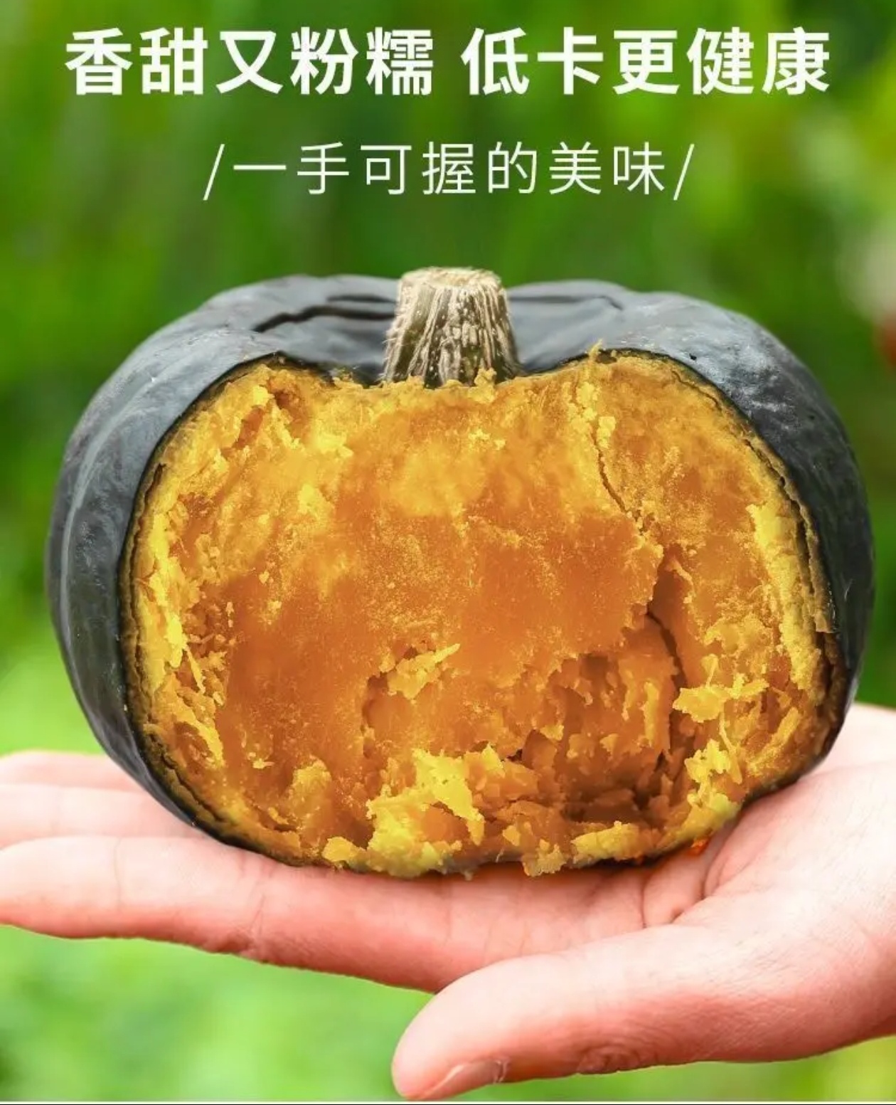 山东正宗贝贝南瓜板栗味老南瓜批发新鲜蔬菜孕妇宝宝辅食