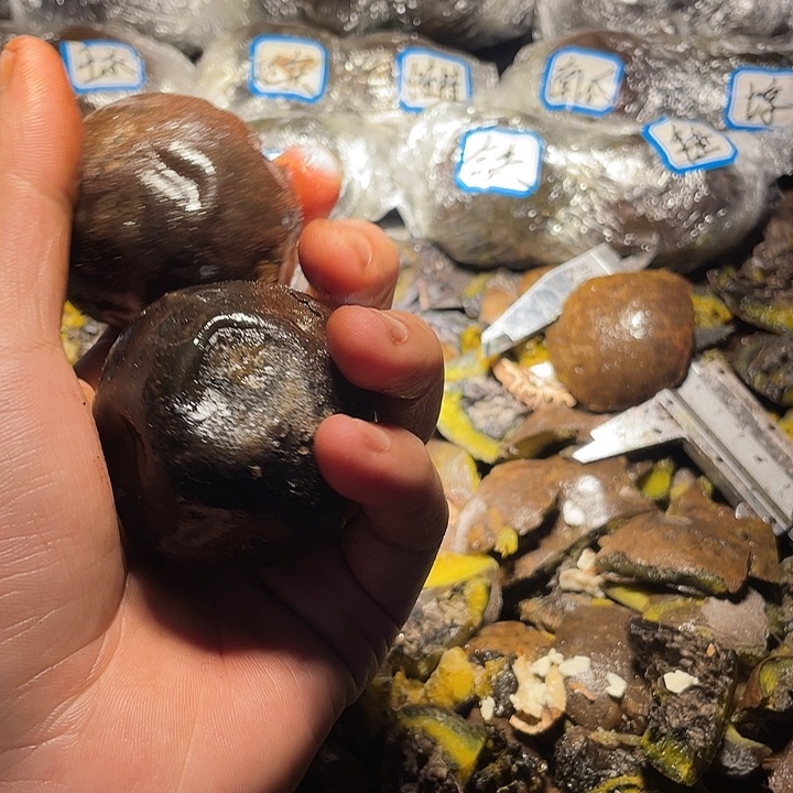 拱桥四座楼保配对